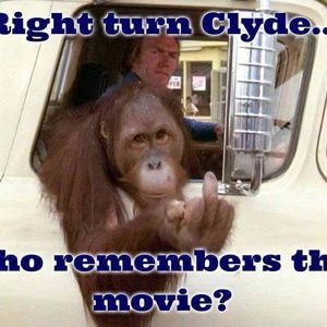 Meet your Posher, Clyde